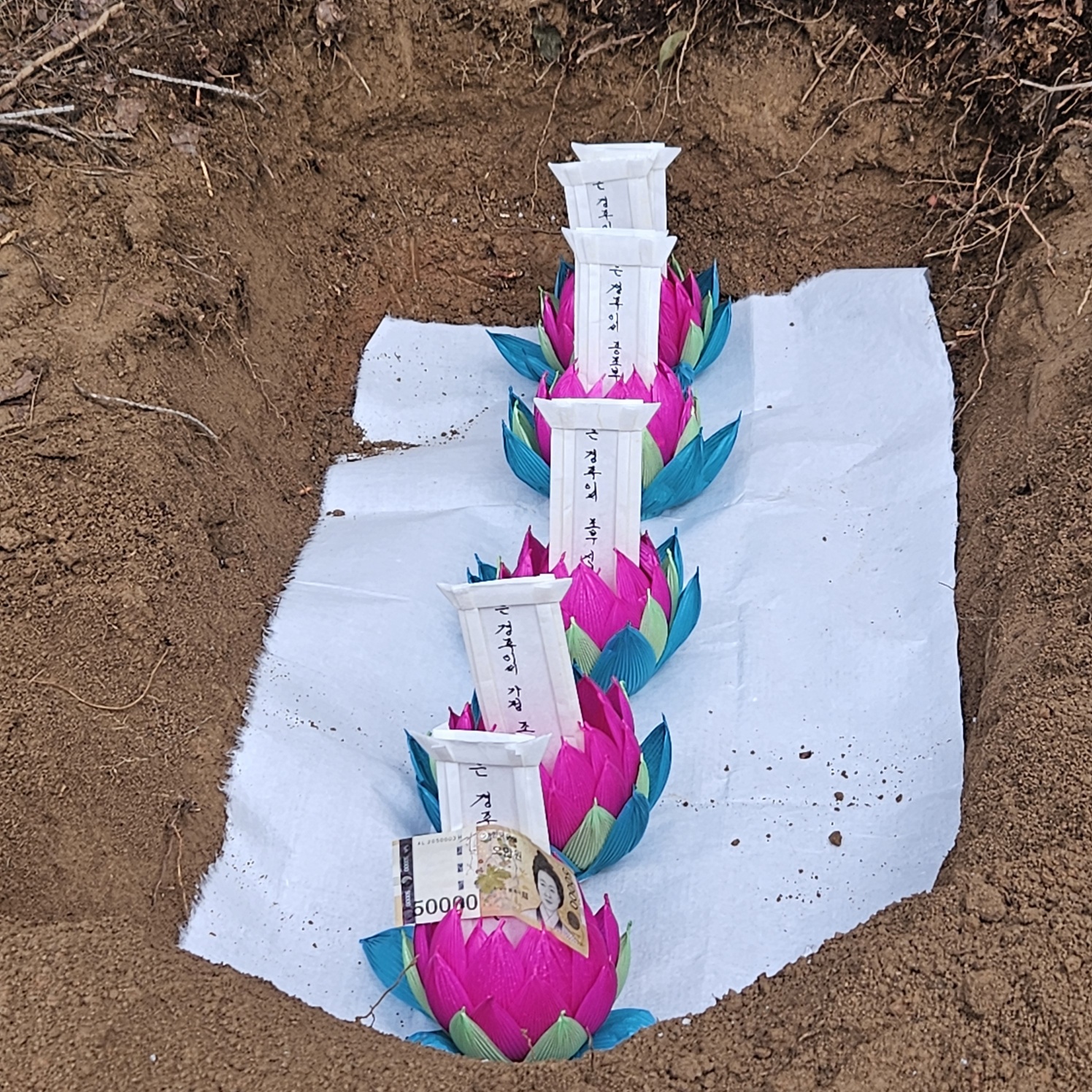 3695294320_wYazkpjc_7a29b3233ca1b7a36e4dd7f8f2f54dcf5b43b8c9.jpg 이미지크게보기